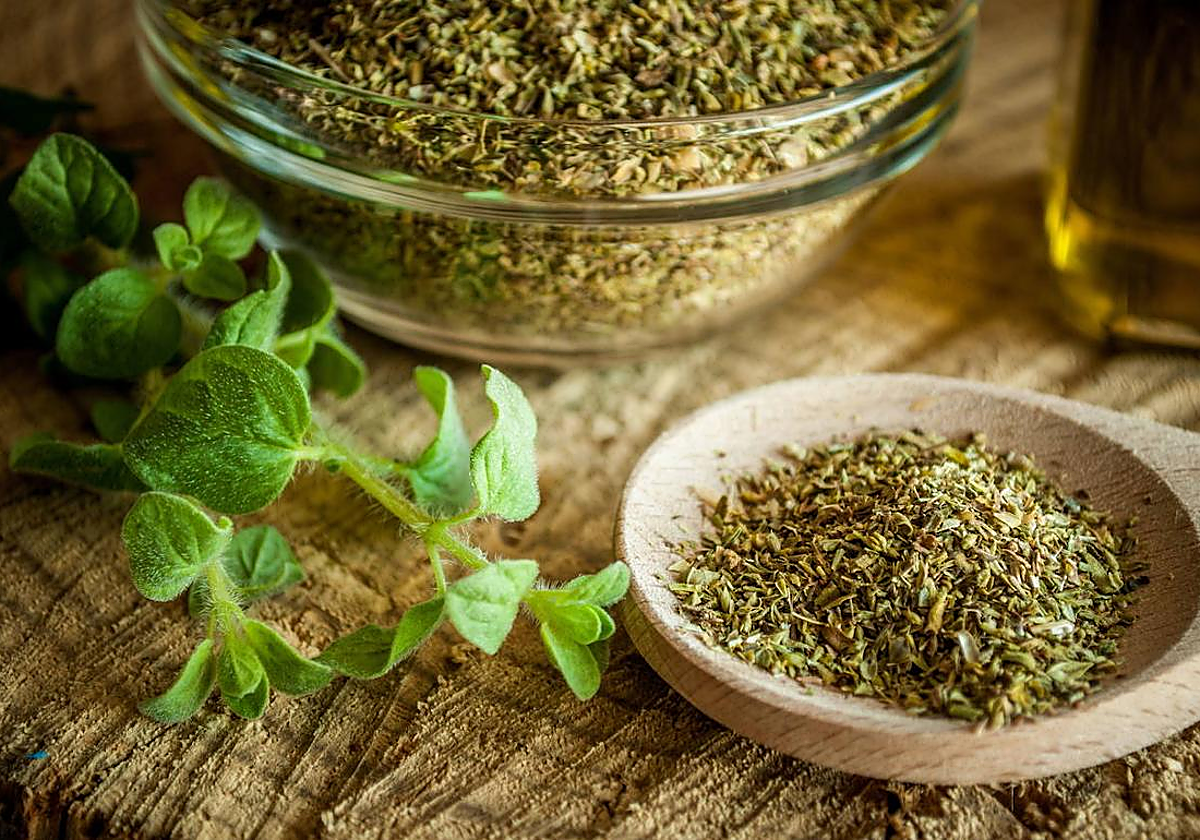 María Muñoz, médica: "El orégano no es solo para la pizza, es una planta medicinal"