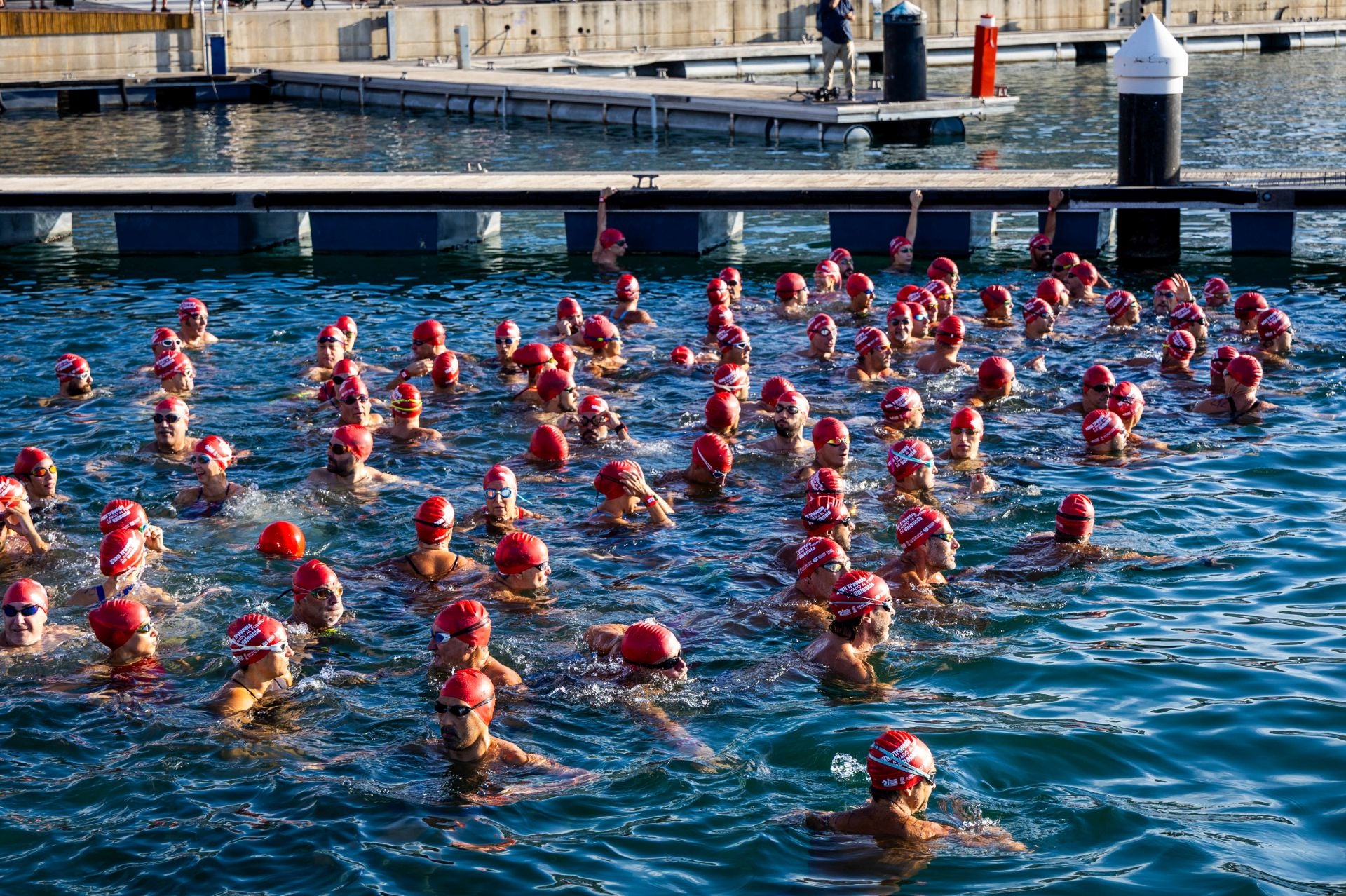 Búscate en la Travesía a nado del Puerto de Valencia de este sábado