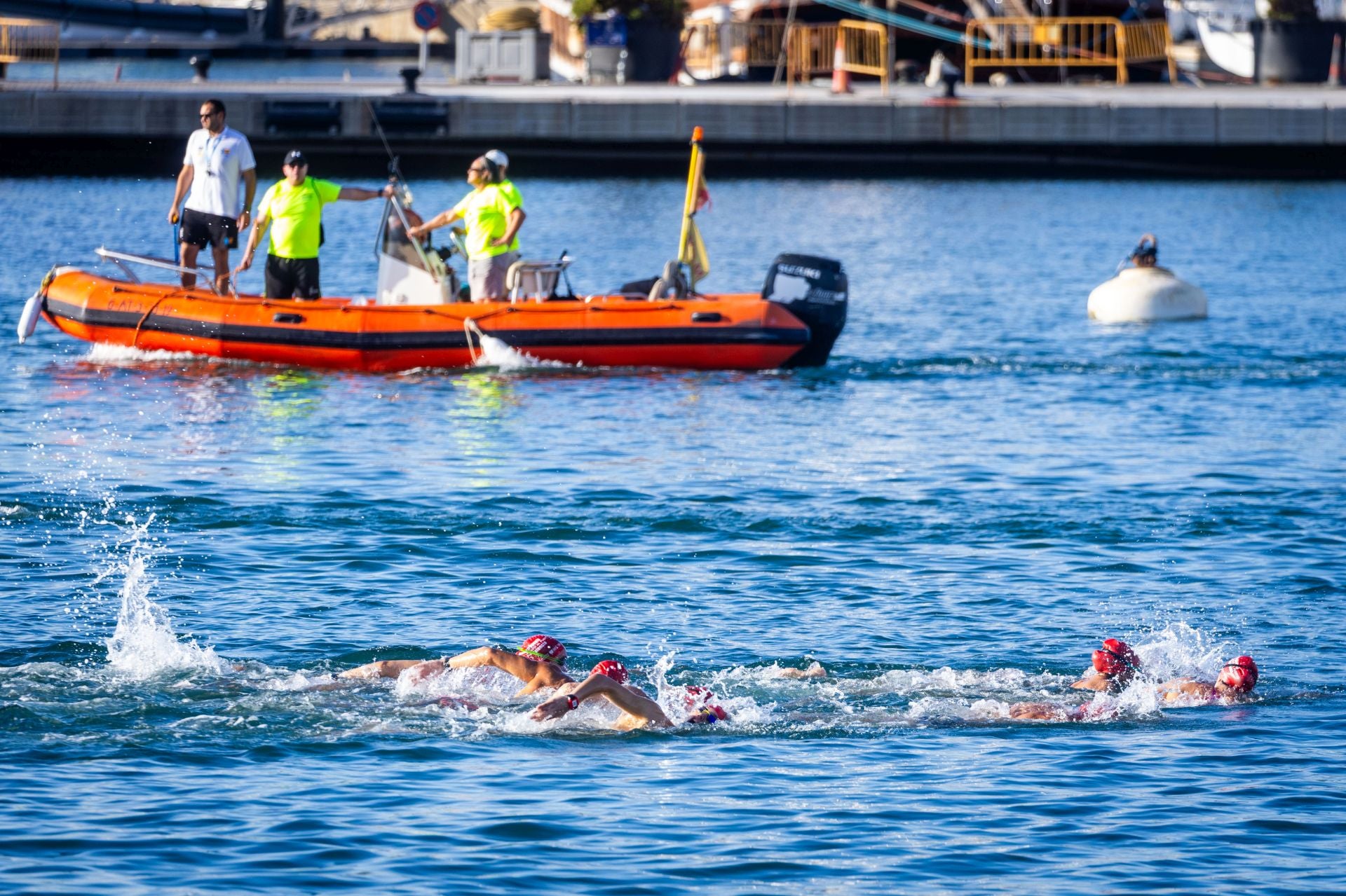 Búscate en la Travesía a nado del Puerto de Valencia de este sábado