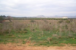Terrenos objeto de la sentencia.