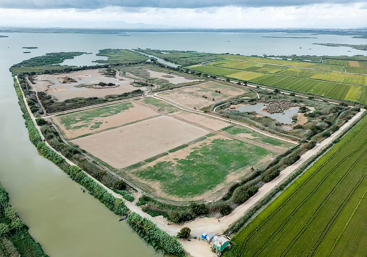 El tancat de la Pipa de la Albufera, seco más de diez meses después de la dana.