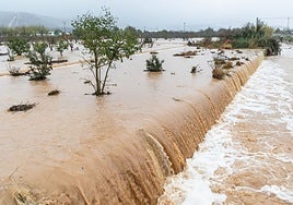 Un canal de agua se desborda sobre un campo de cultivos en la Comunitat.