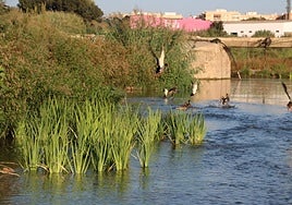 Uno de los tramos recuperados en el parque del Turia en Quart de Poblet.