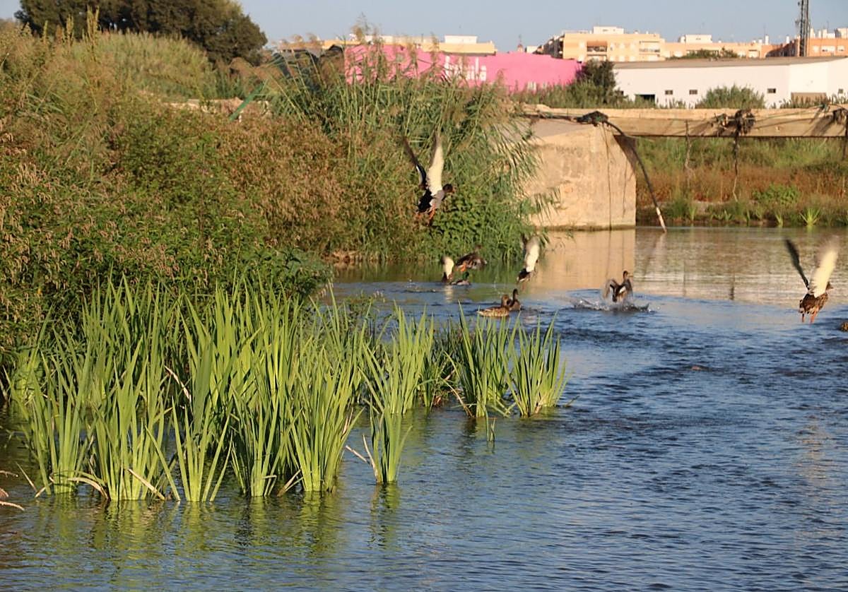 Uno de los tramos recuperados en el parque del Turia en Quart de Poblet.