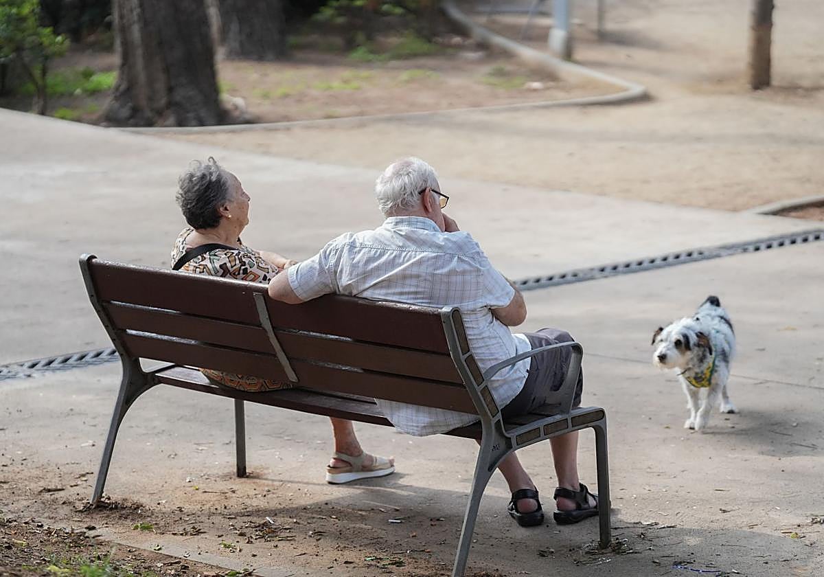 Dos jubilados y un perro en un parque.