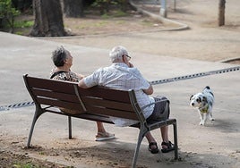 Dos jubilados y un perro en un parque.