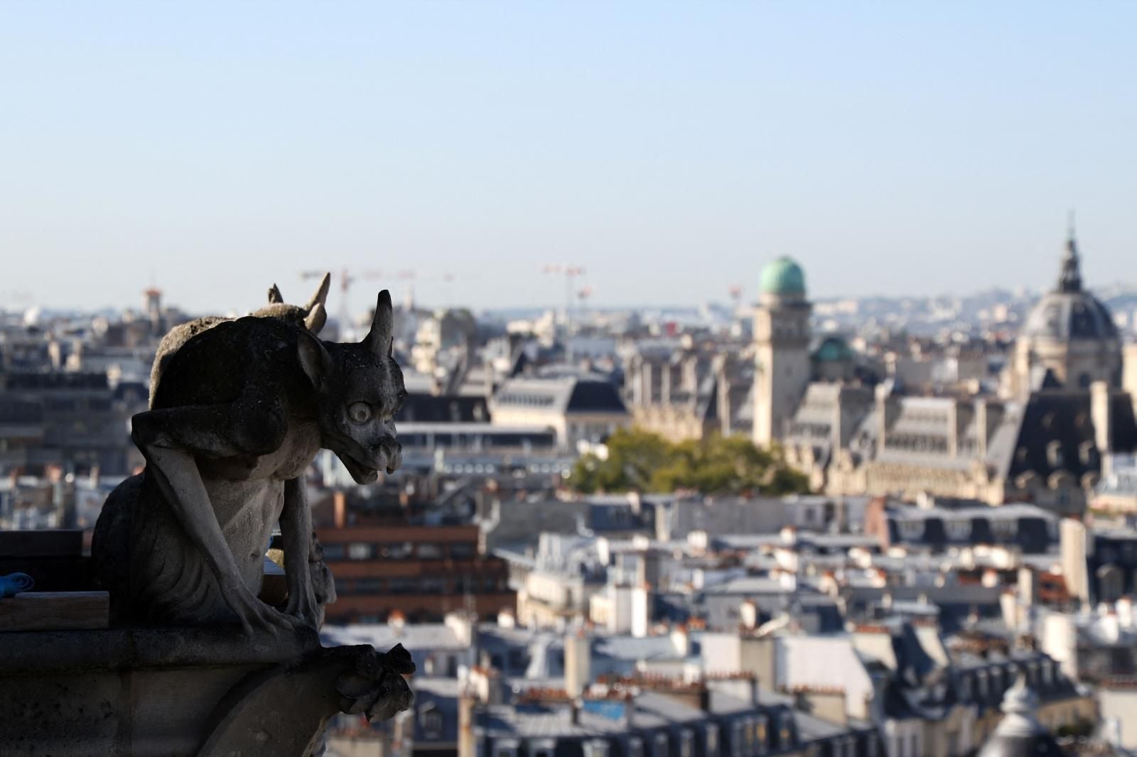 FOTOS | Las torres de Notre Dame ya se pueden visitar
