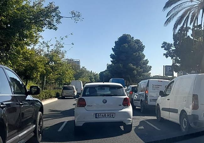 Tráfico en la Avenida Pío Baroja este viernes.