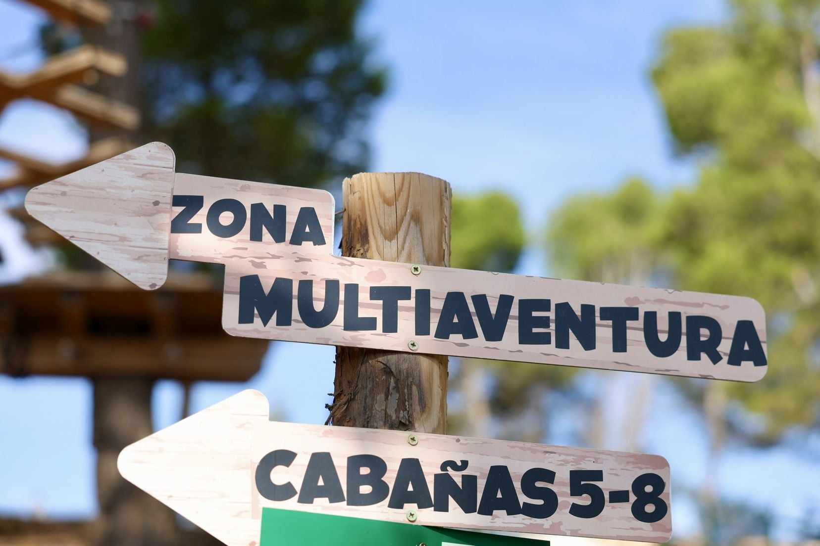 FOTOS | Las candidatas a fallera mayor infantil de Valencia se van de convivencia a Calvestra