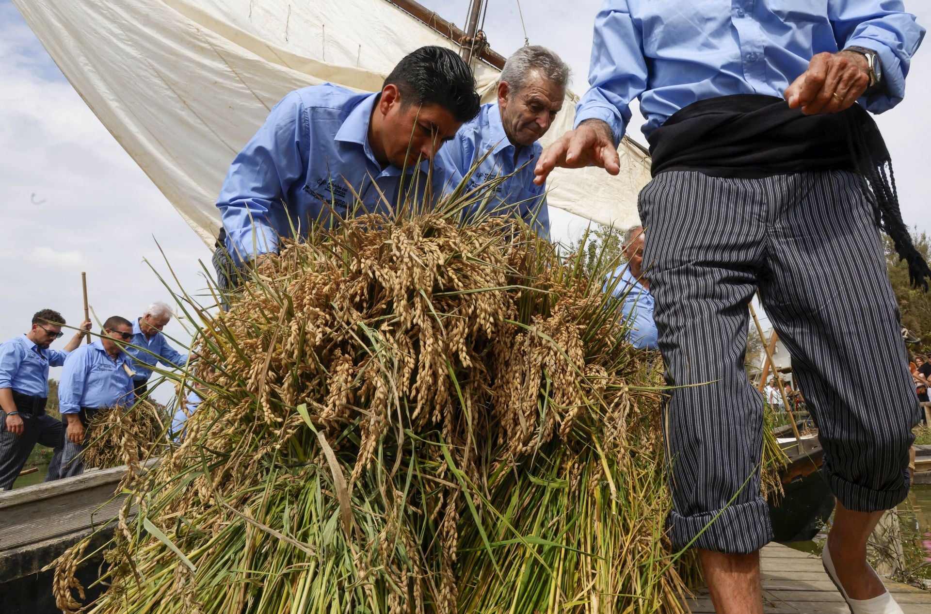 FOTOS | Catarroja celebra la fiesta de la siega del arroz 2025