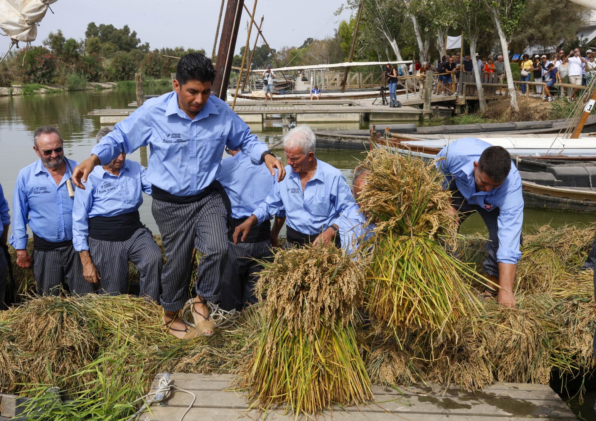 FOTOS | Catarroja celebra la fiesta de la siega del arroz 2025