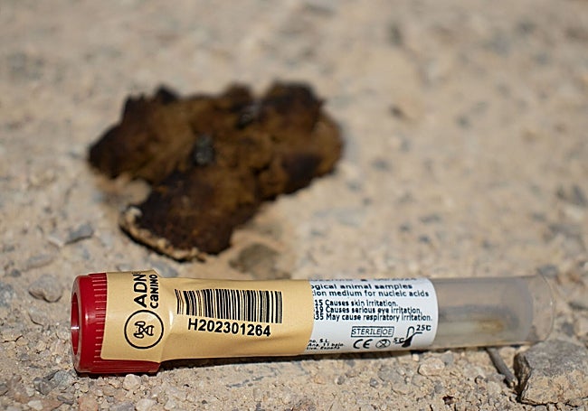 Muestra con el kit de ADN Canino.