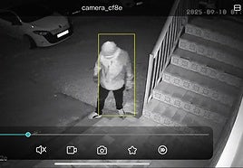 Imagen del ladrón captada por una cámara de seguridad.