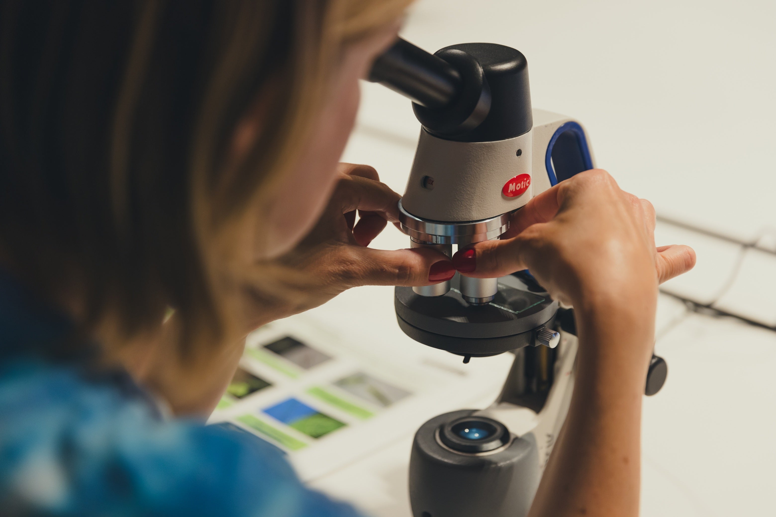 Durante tres días los asistentes podrán disfrutar de numerosas actividades.