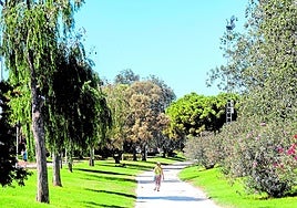 El Jardín del Turia, cuyo sistema de riego fue víctima de un ciberataque.