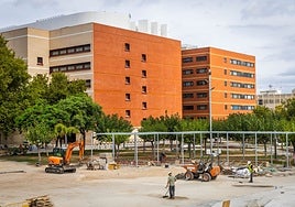 Ajardinamiento del campus de Tarongers, a principios de este mes.