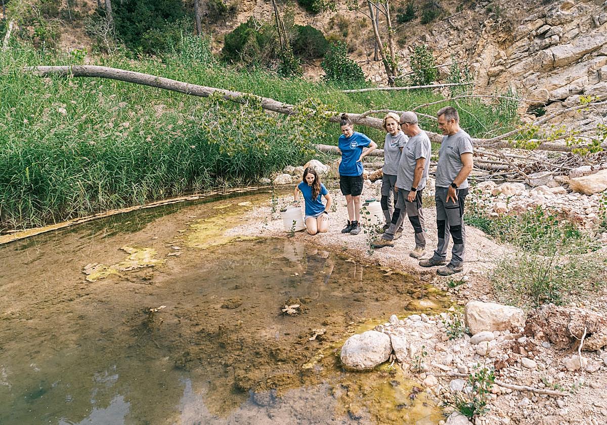Suelta de loinas en el río Magro.
