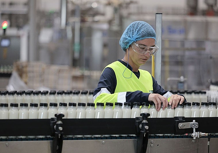 Una trabajadora de la planta de Aldaia.