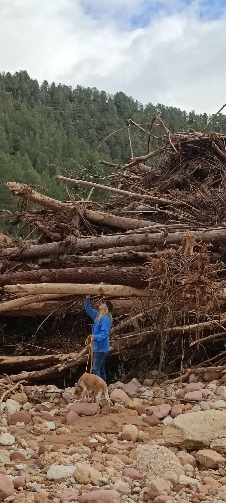 Una joven y su perro junto a árboles arrastrados por la dana.