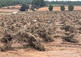 Estado de un campo agrícola en Sinarcas después de la dana.