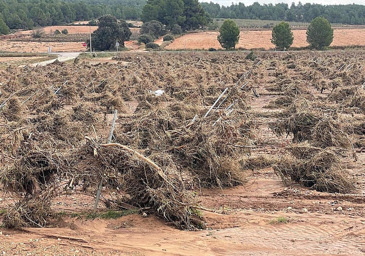 Estado de un campo agrícola en Sinarcas después de la dana.