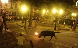 El toro embolado, en imagen de archivo, fue suspendido en Enguera anoche.