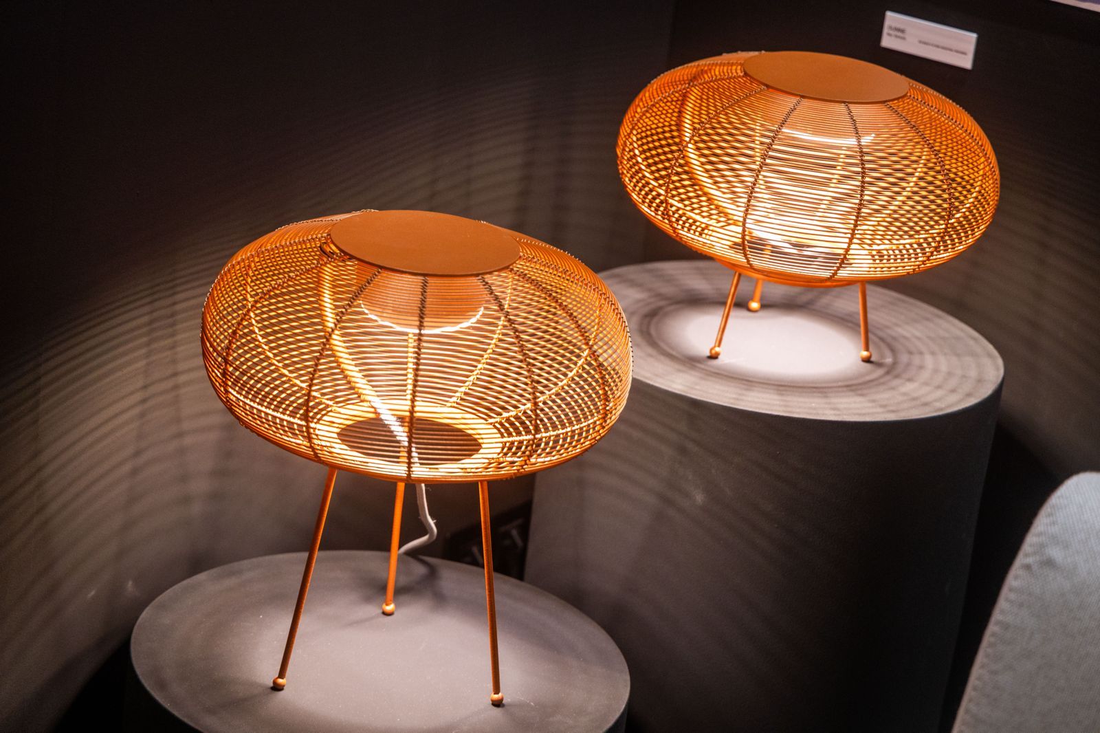 FOTOS | El Museo de Bellas Artes de València presenta «Noche en el Museo 2025»