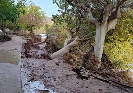 Cauda del río en Calles con los signos de los daños por la dana.