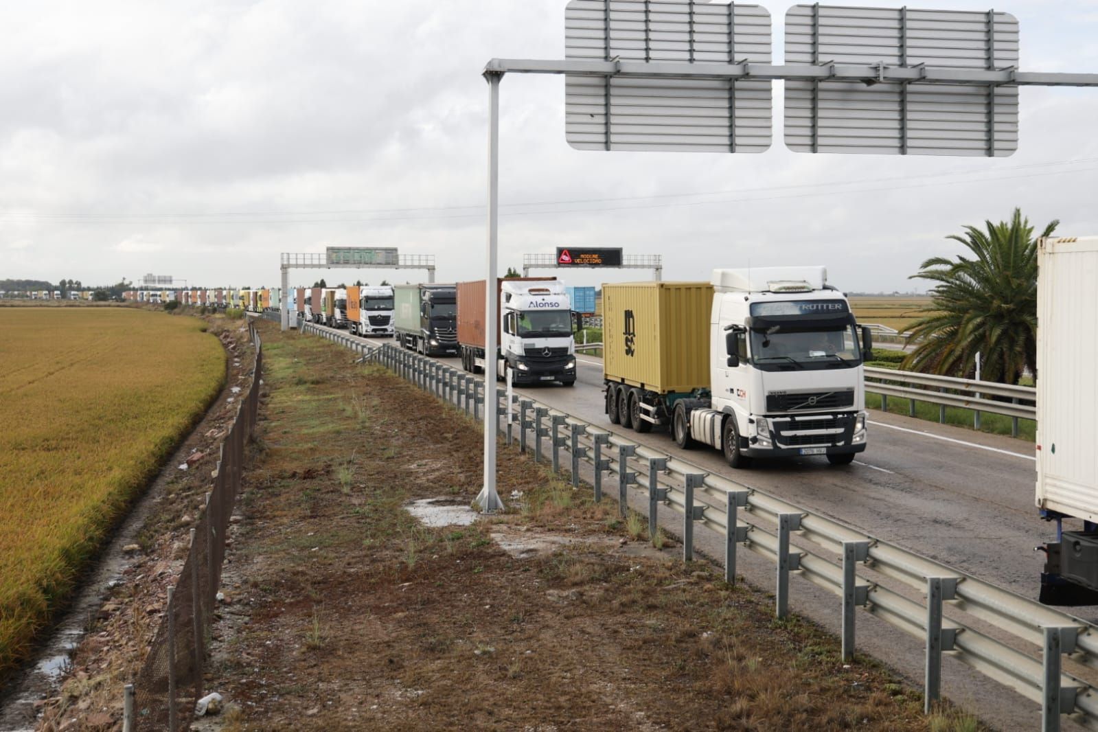 Avalancha de camiones para descargar contenedores en el puerto tras el cierre de la estiba por la alerta roja