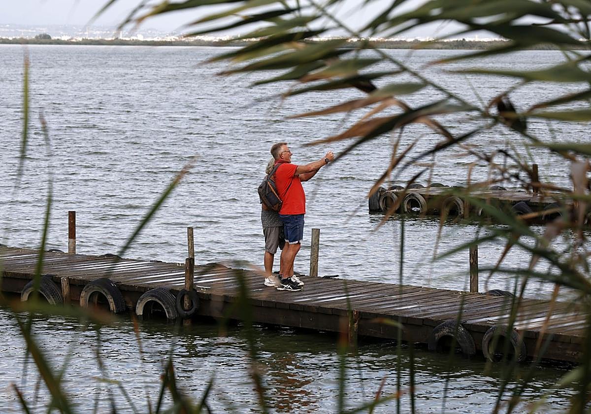 Aumenta el nivel de agua en La Albufera y campos de arroz anegados tras las lluvias