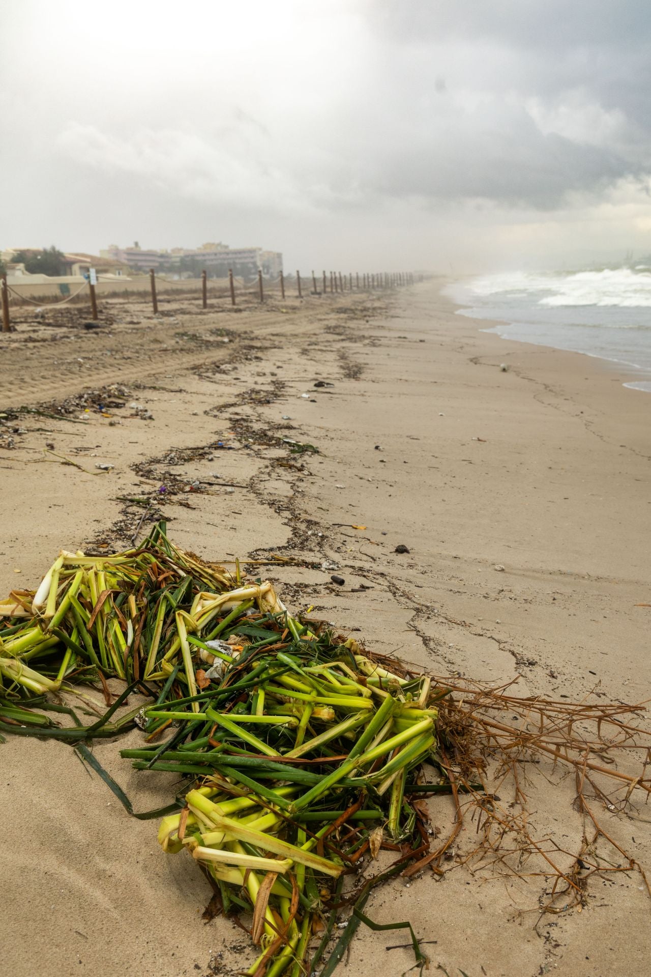 Así ha afectado el temporal a las playas valencianas