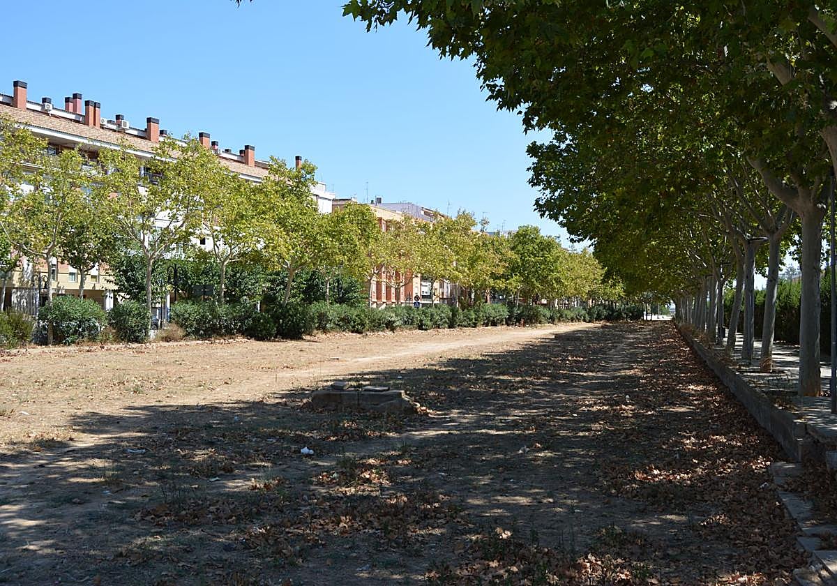 Tramo del barranco de la Saleta donde se ha previsto la actuación.