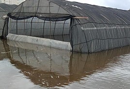Parcela de cultivo inundada tras el temporal del lunes.