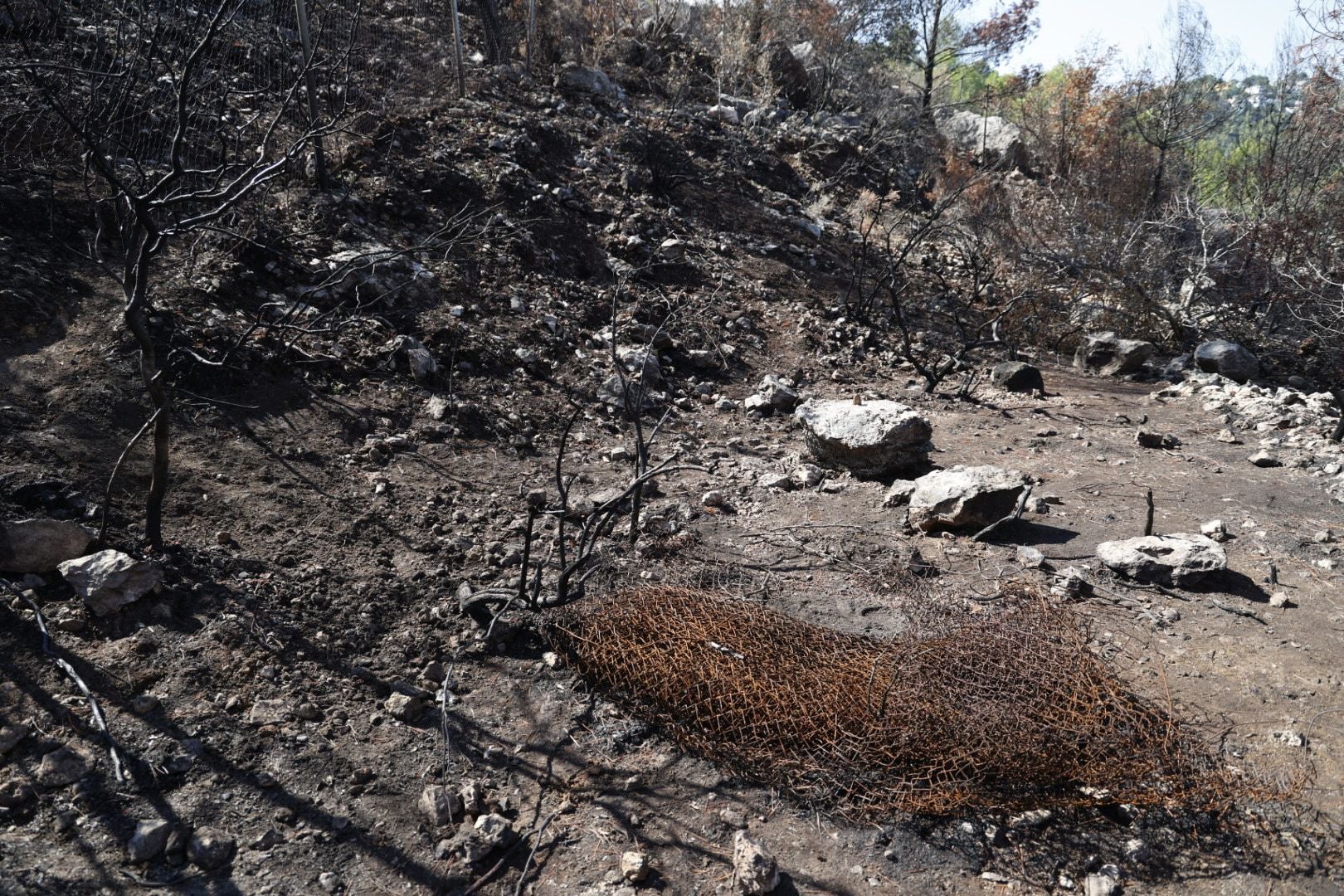 Imágenes de la búsqueda del cadáver calcinado de Bea