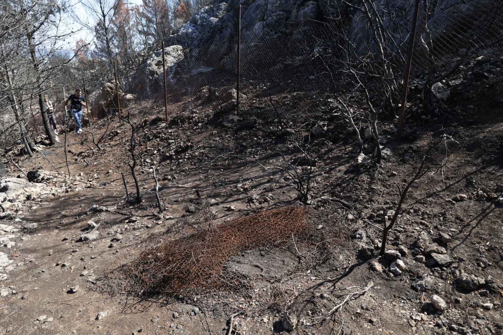 Imágenes de la búsqueda del cadáver calcinado de Bea