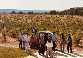 Vendimiado lúdico de los participantes.