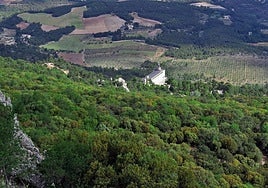 Vista general del santuario de la Font Roja.