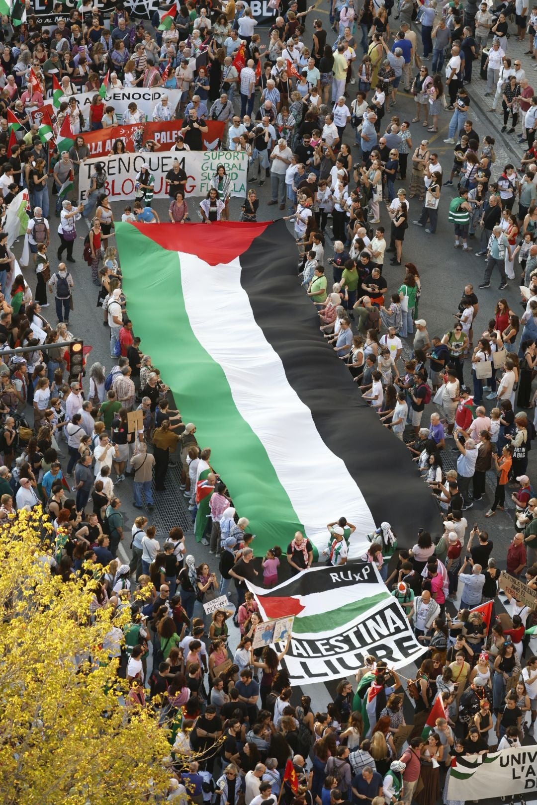 Fotos de la manifestación por Palestina este sábado en Valencia
