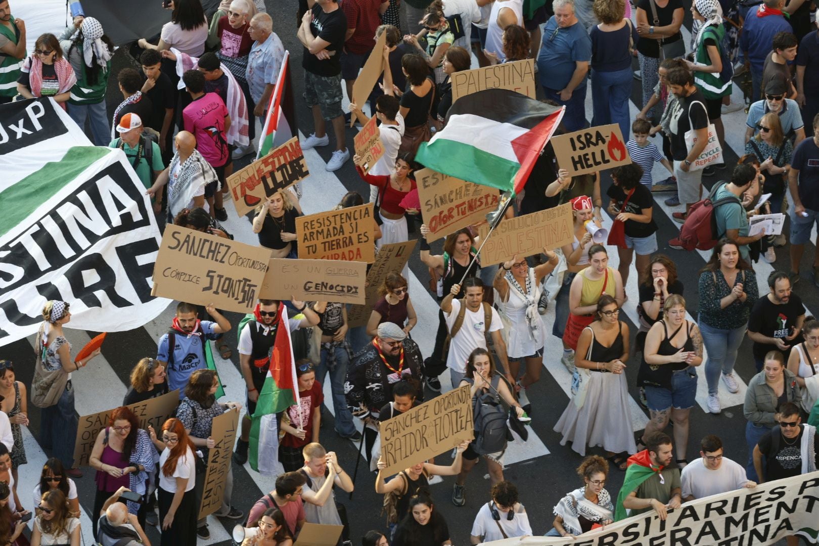 Fotos de la manifestación por Palestina este sábado en Valencia