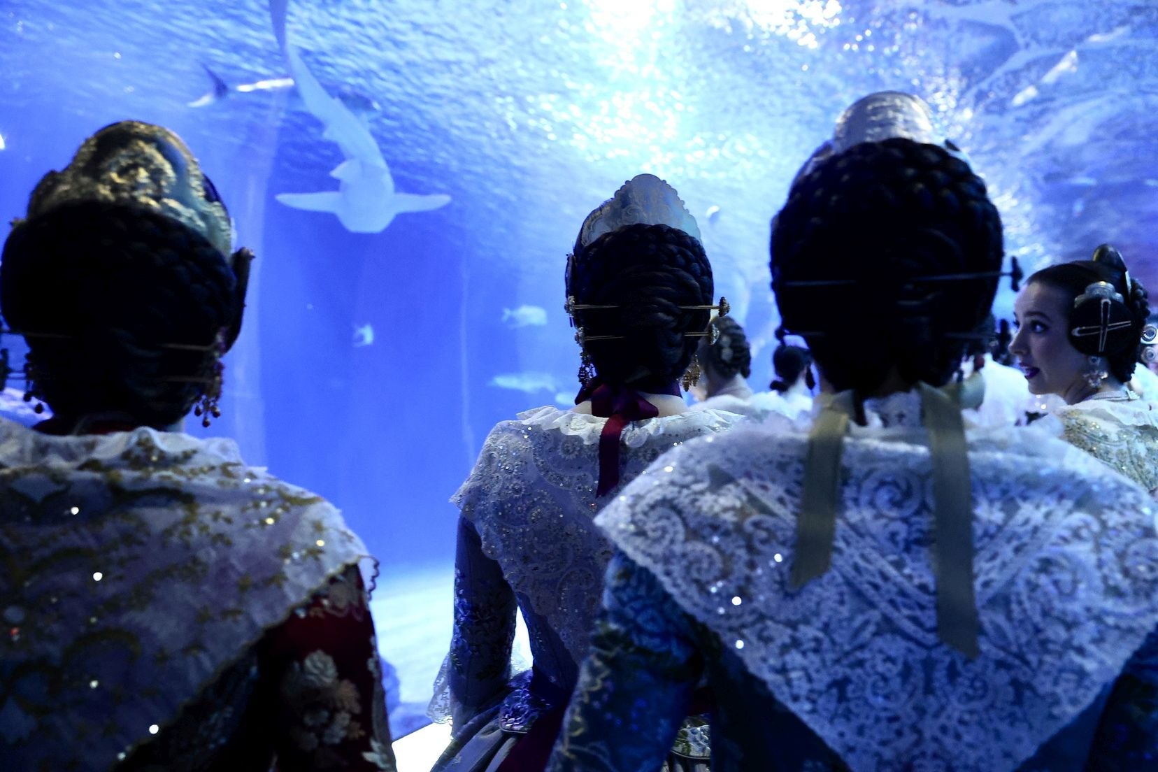 Las candidatas a fallera mayor de Valencia visitan l&#039;Oceanogràfic