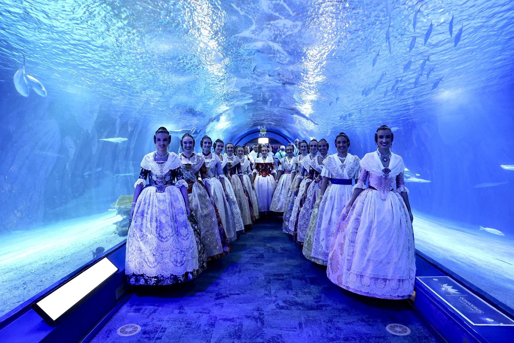 Las candidatas a fallera mayor de Valencia visitan l&#039;Oceanogràfic