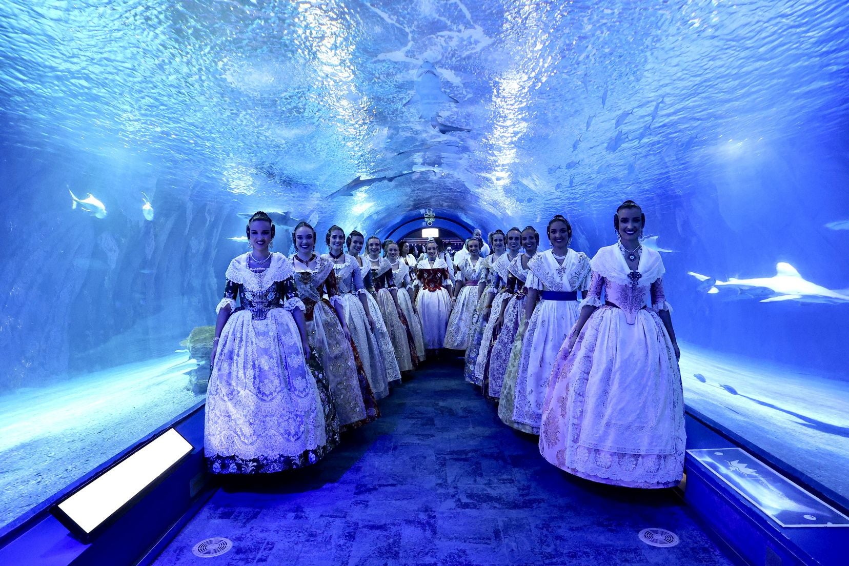 Las candidatas a fallera mayor de Valencia visitan l&#039;Oceanogràfic