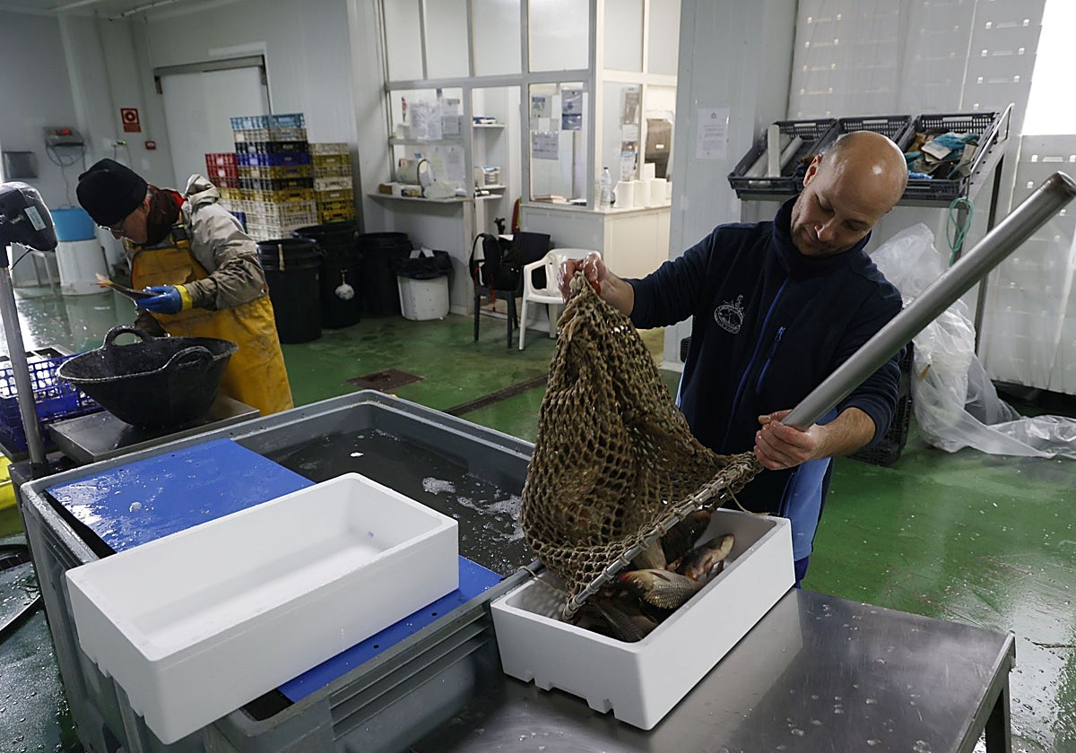 Trabajadores en la Comunidad de Pescadores de El Palmar.