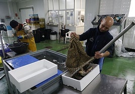 Trabajadores en la Comunidad de Pescadores de El Palmar.