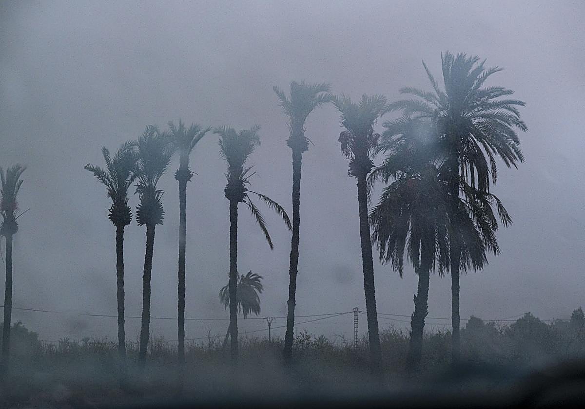 Tormentas en Alicante: ¿Dónde está lloviendo más en la provincia?