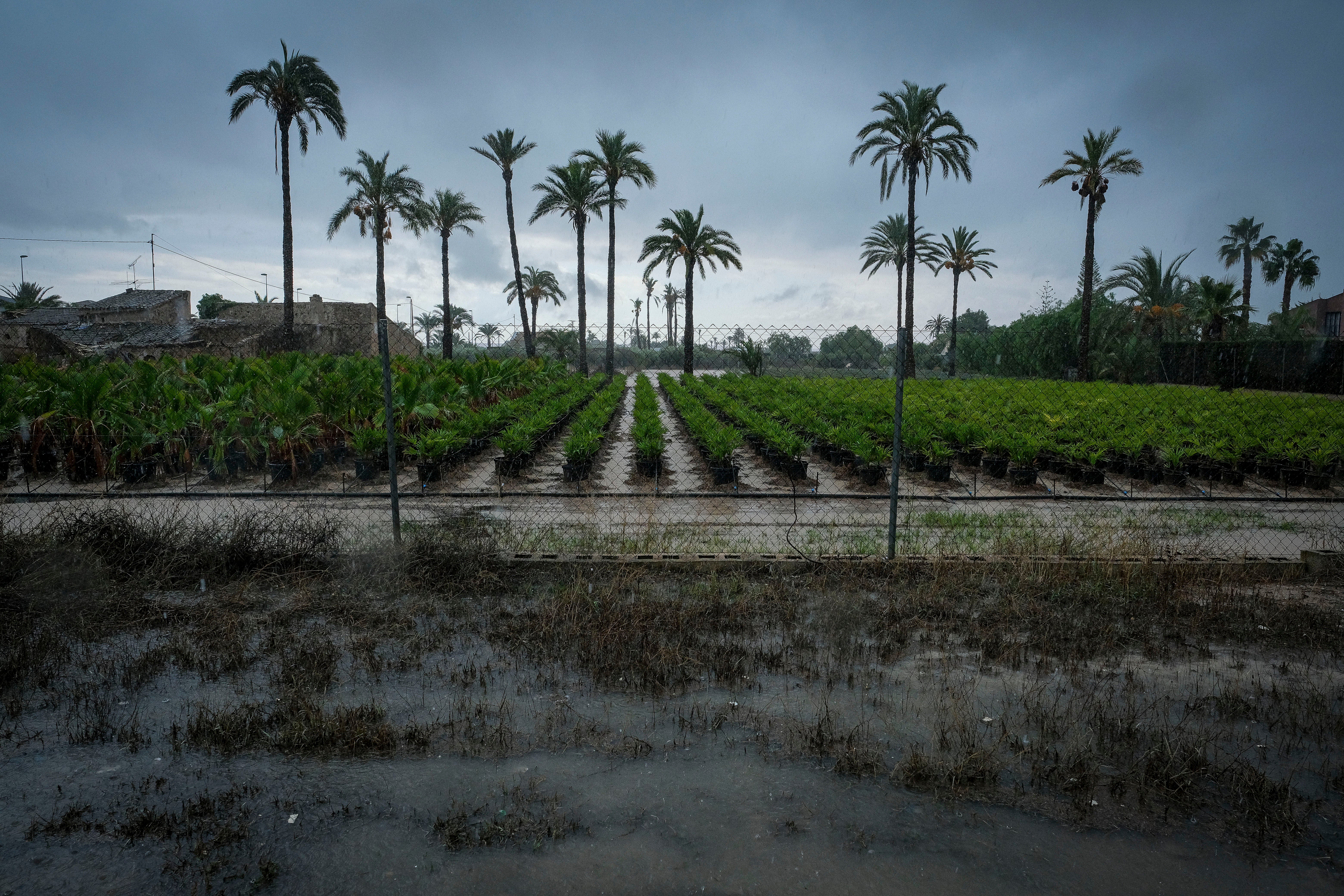 La dana Alice golpea la Comunitat Valenciana