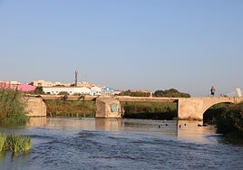 Estado actual del Puente Viejo y río Turia a su paso por Quart de Poblet.