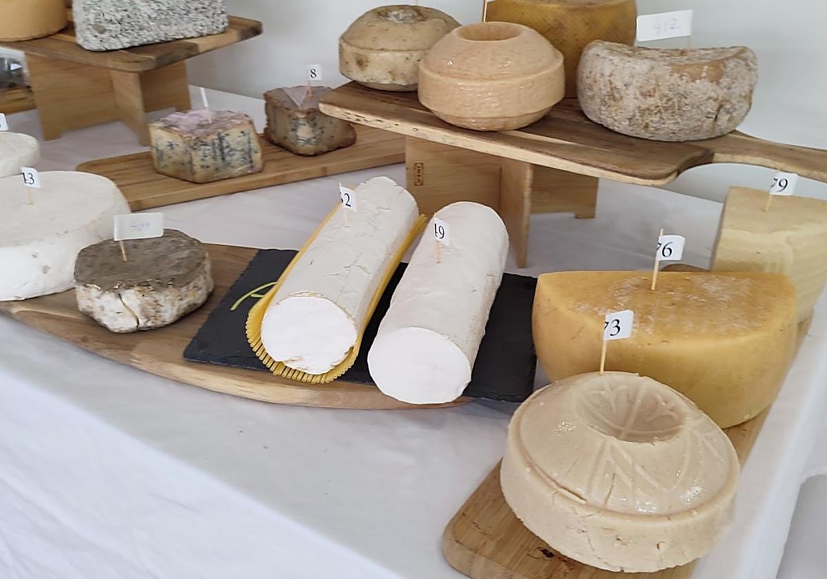 El rulo de cabra madurado junto a otros quesos del concurso.