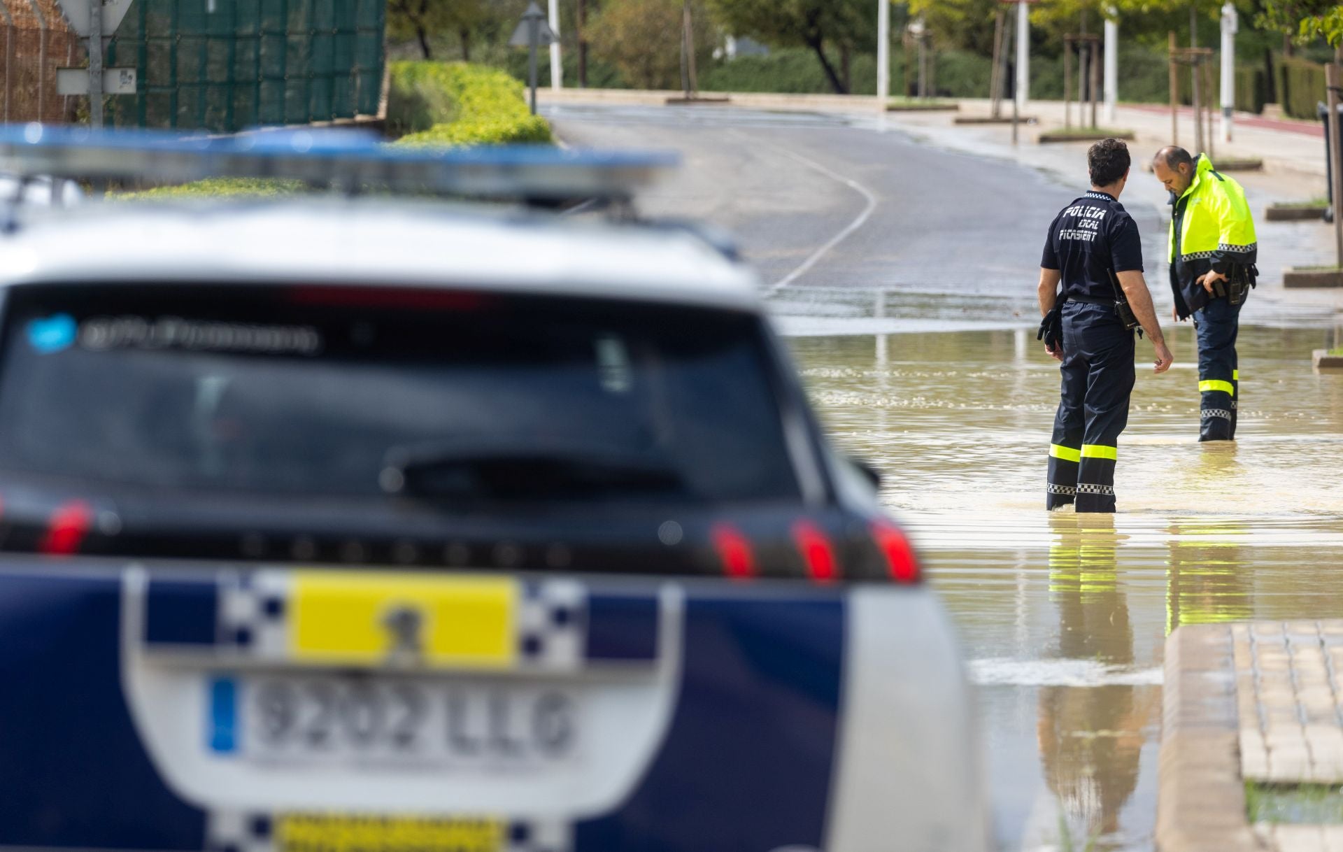 Los efectos de la dana Alice en la Comunitat