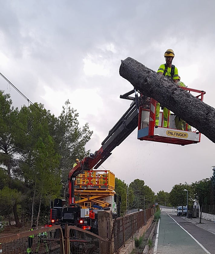 Imagen secundaria 2 - Árbol caído sobre la catenaria y retirada del ejemplar.